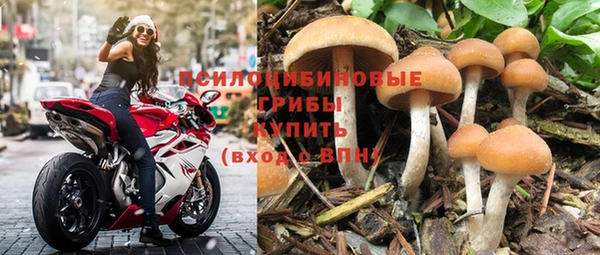 гидропоника Дмитров
