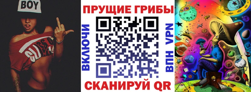 Псилоцибиновые грибы MAGIC MUSHROOMS  ссылка на мегу как зайти  Заволжье  где можно купить  