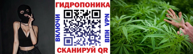Канабис план  Заволжье 
